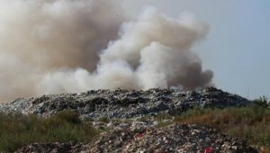 Kazakhstan's Waste Collection Market Faces Competition Shortcomings